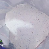 Bingo Deterjanımdan Böcek Çıktı