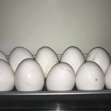 CP Piliç Seyhanlar Market Kırık Yumurta