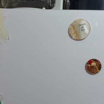 Vestel Marka Buzdolabı Ürün Kodu 20217546 Eko NF450 Model