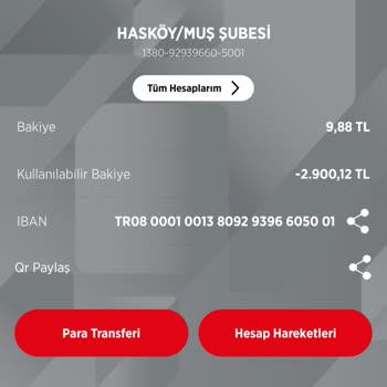 Ziraat Bankası Ziraat Şube Ve Bilgi Sorunu