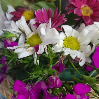 ÇiçekSepeti Çiçeğin Solması Ve Vazonun İçinde Limon Kurularının Olmaması