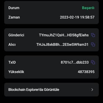 Safepal Crypto Param Kayboldu Veya Çekilmiş