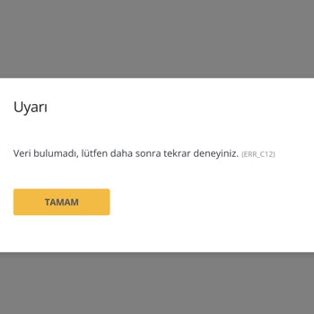 Pegasus ERR_C12 Hatası İle Bilet Görünmüyor