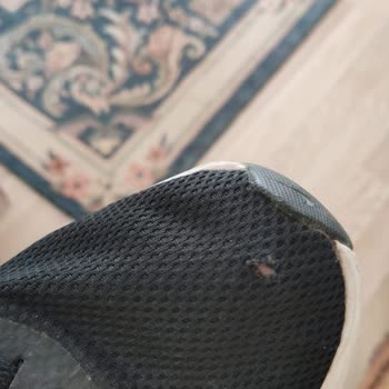 Nike Ayakkabı Yırtılması Ve Koku Yapması