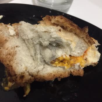 A101 Küflü Hamburger Ekmeği