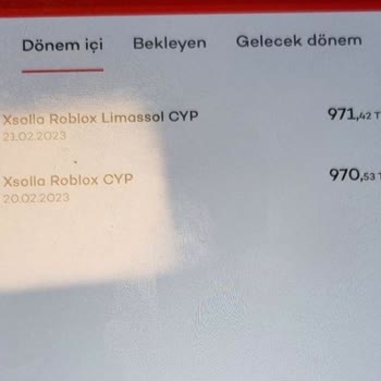 Xsolla Roblox Firması Tarafından Şüpheli İşlem