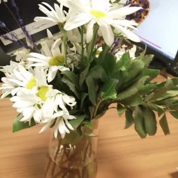 Çiçek Sepeti İlgisizliği Ve Müşteri Mağduriyeti