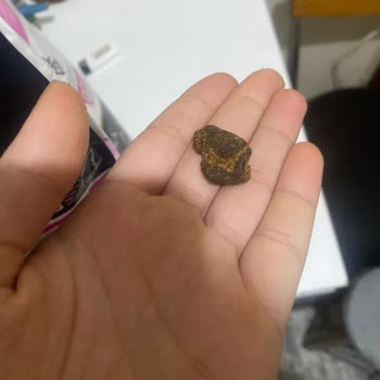 Pro Plan Mamada Garip Bir Cisim