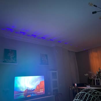 TCL TV Panel Failure, No Support From Customer Service