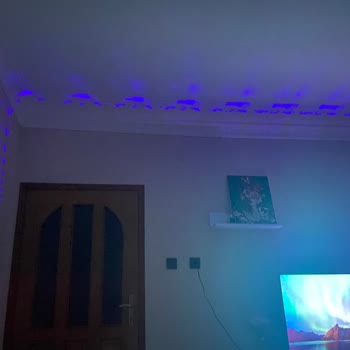 TCL TV Panel Failure, No Support From Customer Service