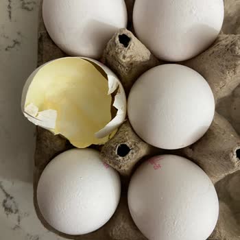 Bim'den Aldığım Yumurta Bozuk Çıktı!