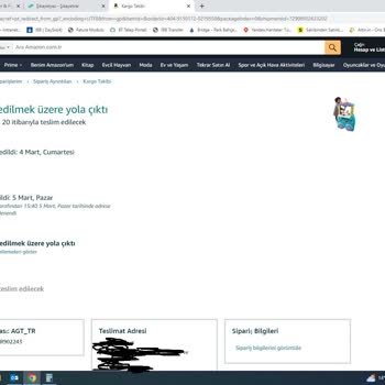 Amazon Ve AGT Teslimat Problemi