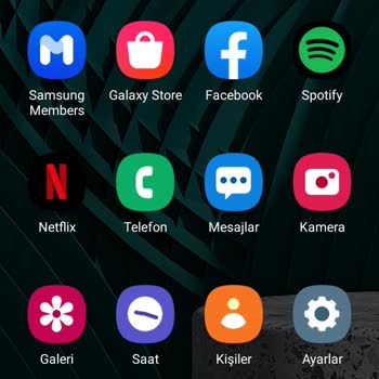 Samsung Telefon Mor Işık Çıktı Ekranımda