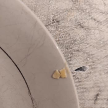 Tatbak Gıda Tatlıda Yumurta Kabuğu Çıktı!