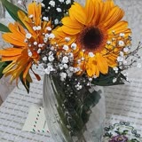 Osevio.com Sipariş Verilen Çiçekle Alakasız !