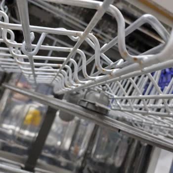 LG Dishwasher Constant Mold and Rotten Baskets