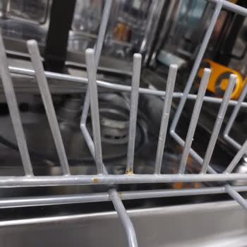 LG Dishwasher Constant Mold and Rotten Baskets