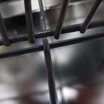 LG Dishwasher Constant Mold and Rotten Baskets