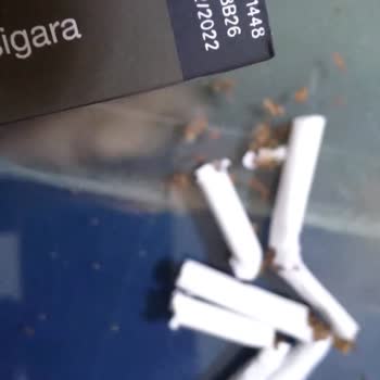 Japan Tobacco International Sells Deformed Camel Slender Gray Line Cigarettes