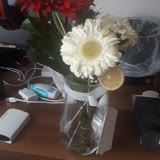 Osevio Görselden Farklı Kötü Çiçek Gönderiyor