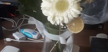 Osevio Görselden Farklı Kötü Çiçek Gönderiyor