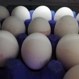Tarım Kredi Kooperatif Market Özlü Yumurta Kolisinde Kırık Çıkan Yumurtalar