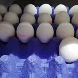 Tarım Kredi Kooperatif Market Özlü Yumurta Kolisinde Kırık Çıkan Yumurtalar