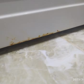 Electrolux Çamaşır Makinesi Paslanma Sorunu