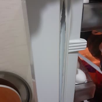 Arçelik 5233NH Buzdolabımın Conta Çürümesi