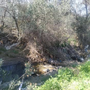 İzmir Büyükşehir Belediyesi Dere Islahı İçin Dilek Ve Şikayet