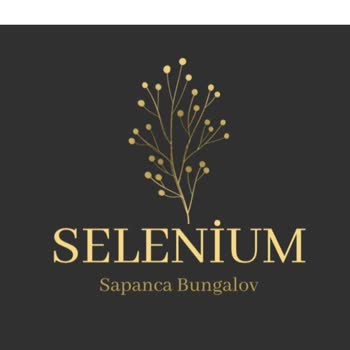 Bungalov Selenium Yanıltıyor!