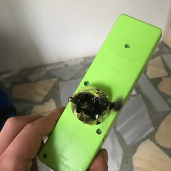 Alev Alan Hakelsan Priz