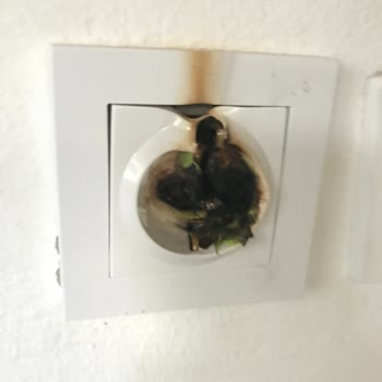 Alev Alan Hakelsan Priz