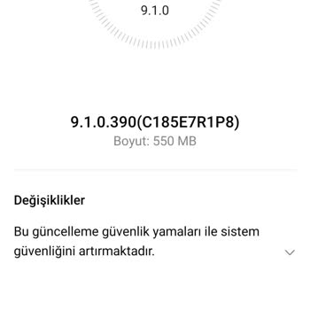 Huawei P20 Lite Güncelleme Gelmiyor EMUI 9.1.0'de Kaldı