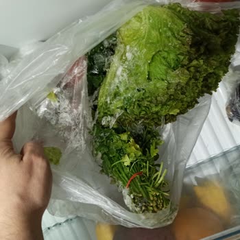 Siemens Ev Aletleri  Buzdolabı Kronik Sorunu: Yiyecekleri Donduruyor!