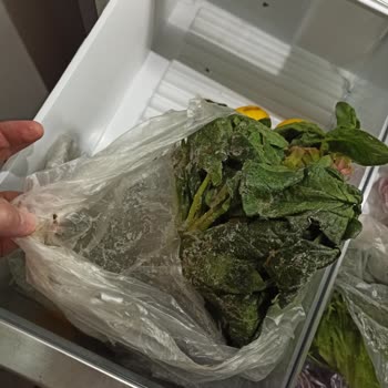 Siemens Ev Aletleri  Buzdolabı Kronik Sorunu: Yiyecekleri Donduruyor!