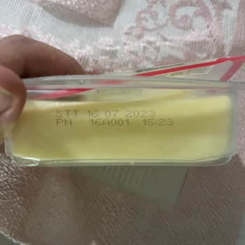 Bahçıvan Küflü Dil Peyniri