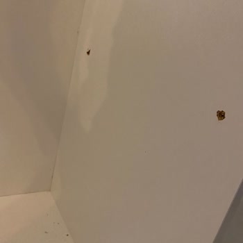 Dekorex Mobilya Kalitesi Kötü!