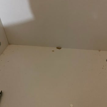 Dekorex Mobilya Kalitesi Kötü!