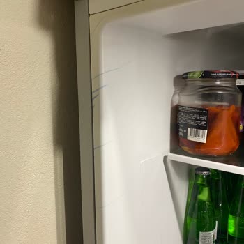 My Bosch Refrigerator Cabinet Cracked