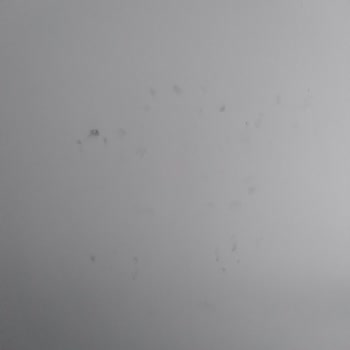 Marshall Fit Boya İz Bırakıyor