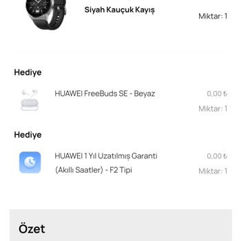 Huawei Gt3 Pro Titanium Saat Sorunu
