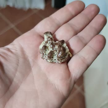 Bim Topi Tanem Ürünün İçerisinden Çıkan Belirsiz Şey