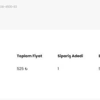 Oyunsatim.com Paramı Ve Karakterimi Vermedi