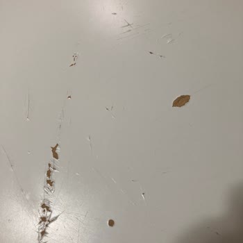 Ikea Lagkapten Masa Kalitesizliği