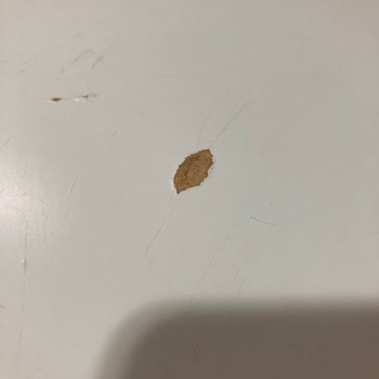 Ikea Lagkapten Masa Kalitesizliği