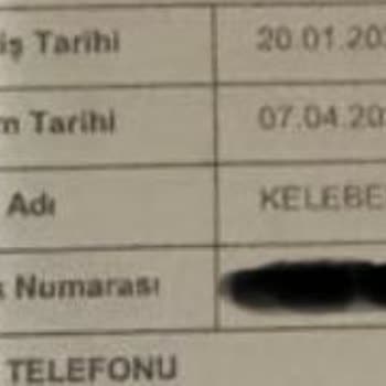 Kelebek Mobilya Teslim Süresi!