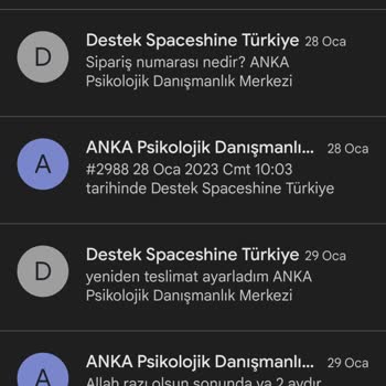 Spaceshine-turkiye.com Ürün Alımı