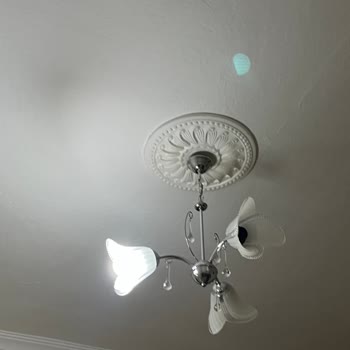 iPhone 13 Kamera Hatası