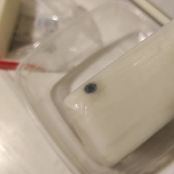 Bahçıvan Peynir Küflü Çıktı